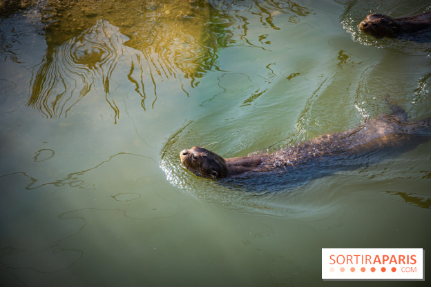 Parrot World, le parc animalier immersif d'Île-de-France