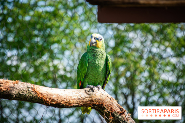 Parrot World, le parc animalier immersif d'Île-de-France