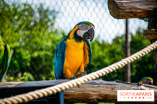 Parrot World, le parc animalier immersif d'Île-de-France