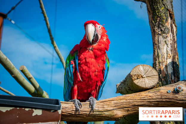 Parrot World, le parc animalier immersif d'Île-de-France