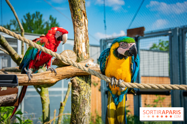 Parrot World, le parc animalier immersif d'Île-de-France