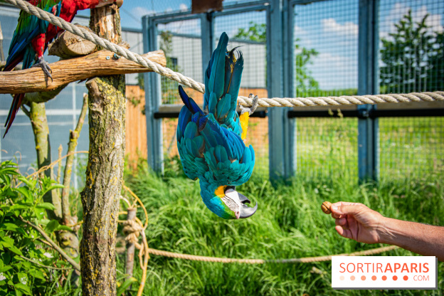 Parrot World, le parc animalier immersif d'Île-de-France