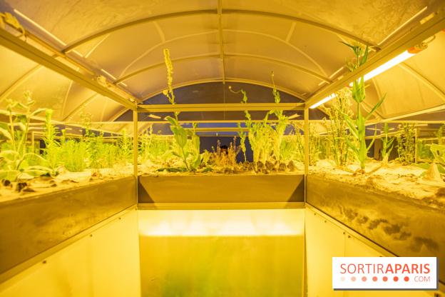 Surface Horizon, l'exposition à Lafayette Anticipations : nos photos