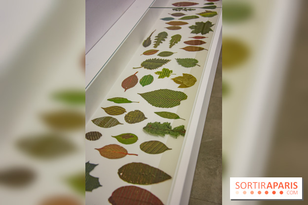 Drawing Power - Children of Compost, l'exposition au Drawing Lab