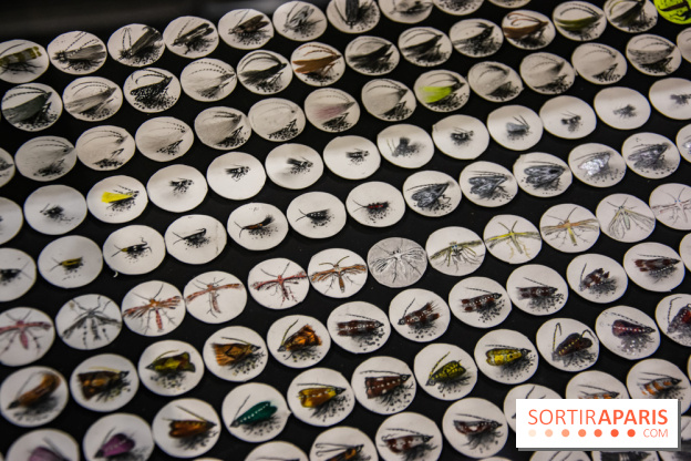 Drawing Power - Children of Compost, l'exposition au Drawing Lab