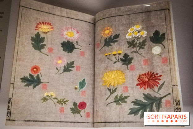 Jardins d'Asie, l'exposition dépaysante du Musée Guimet - nos photos