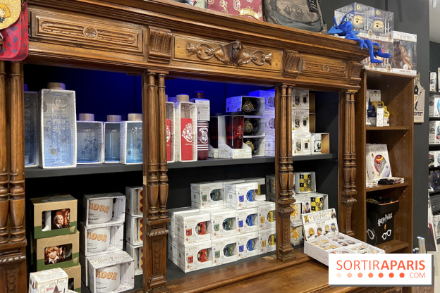 La Boutique aux 2 balais, un spot dédié à Harry Potter à Paris