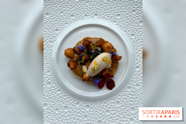 Oiseau Blanc Peninsula