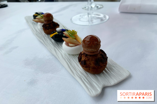 Oiseau Blanc Peninsula