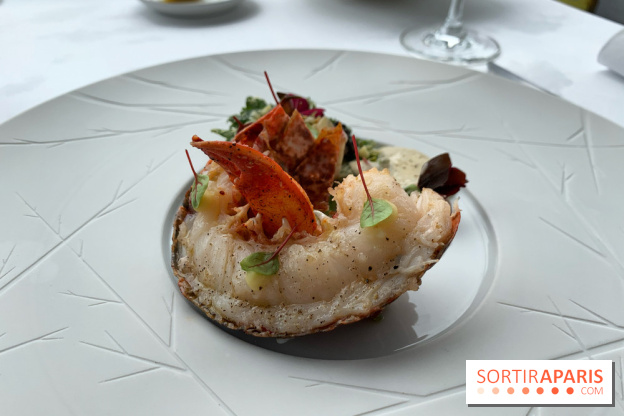 Oiseau Blanc Peninsula