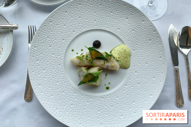 Oiseau Blanc Peninsula