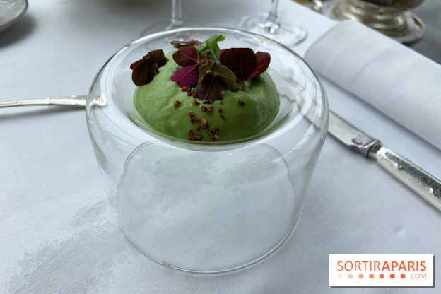 Oiseau Blanc Peninsula