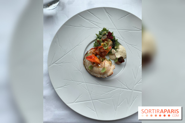 Oiseau Blanc Peninsula