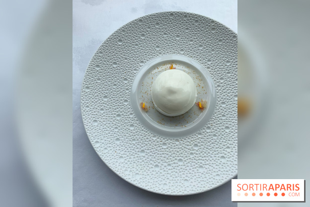 Oiseau Blanc Peninsula