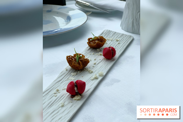 Oiseau Blanc Peninsula