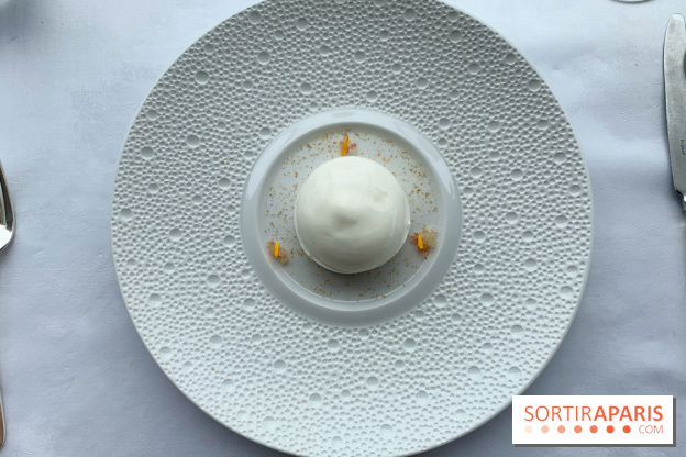 Oiseau Blanc Peninsula