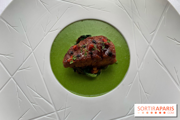 Oiseau Blanc Peninsula