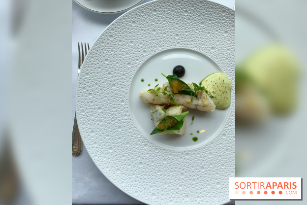 Oiseau Blanc Peninsula