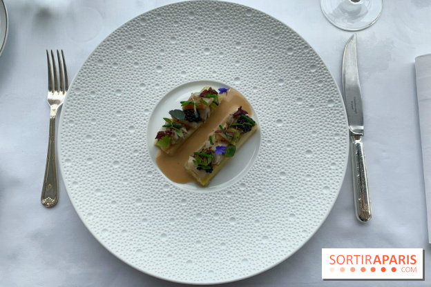 Oiseau Blanc Peninsula