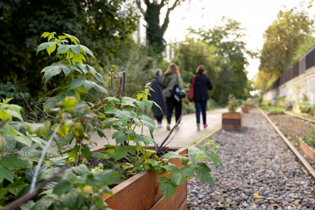 Jardin des Traverses : un espace de détente et d'agriculture urbaine sur la Petite Ceinture