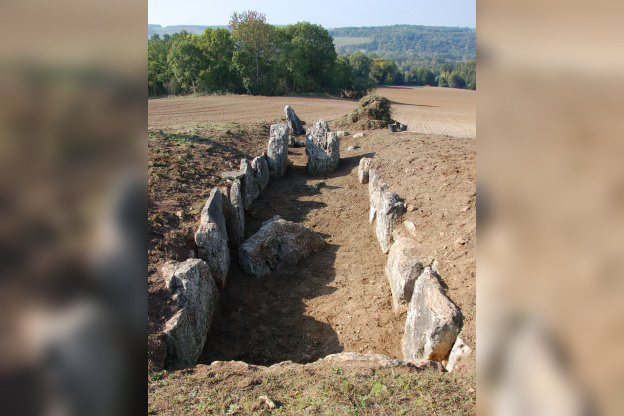 Visite guidée d'un chantier de fouilles archéologiques