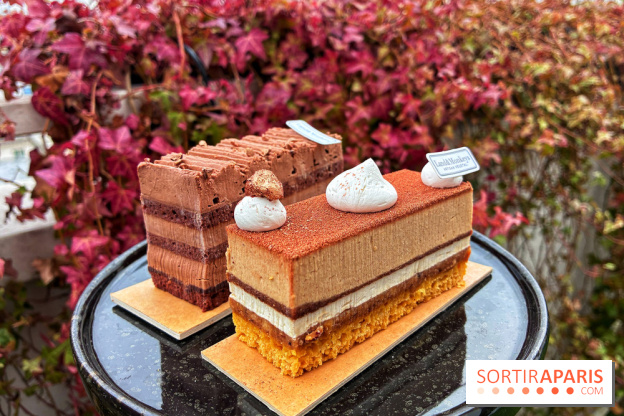 Bûches de Noël végétales 2024 de Land&Monkeys : trois délices vegan à partager