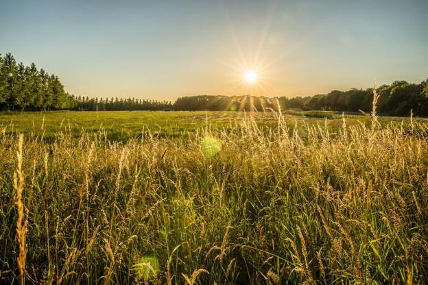 Journées nationales de l'Agriculture 2026 : balade sur la biodiversité à travers les champs