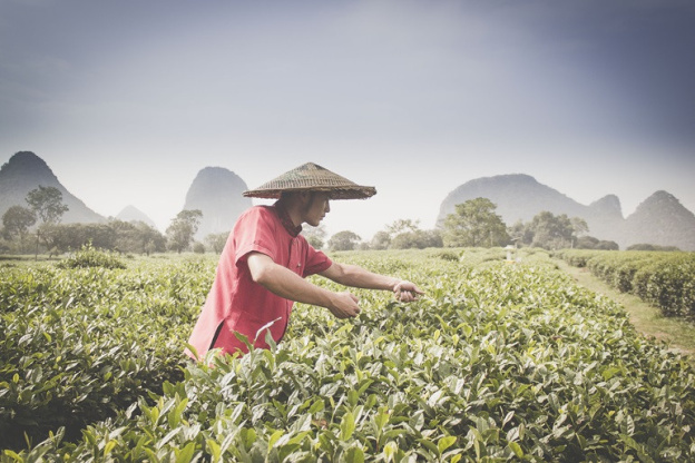 Regards d'Asie, l'expo photo sur les murs de Bercy Village