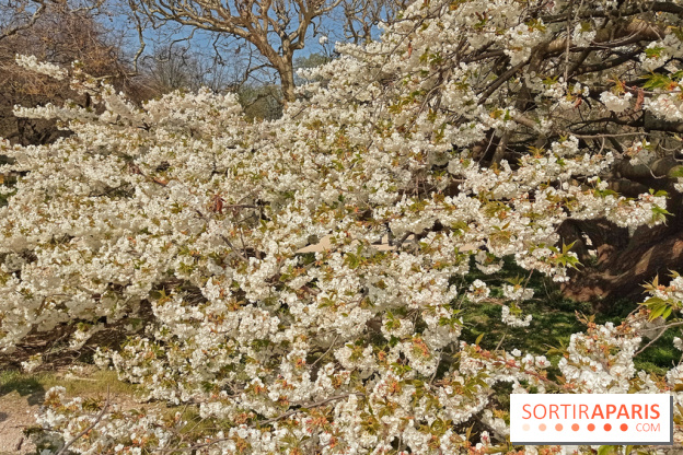 La Fête des sens s'invite au Jardin des Plantes