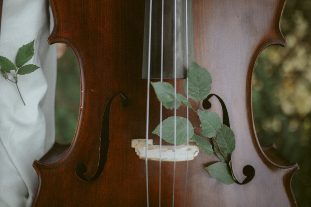 violoncelle
