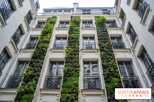 Kimpton St Honoré Paris, Restaurant Montecito