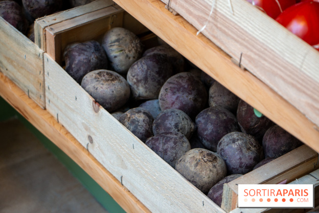 Sapid, la table à manger Naturaliste d'Alan Ducasse : nos photos