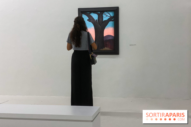 Georgia O'keeffe au Centre Pompidou