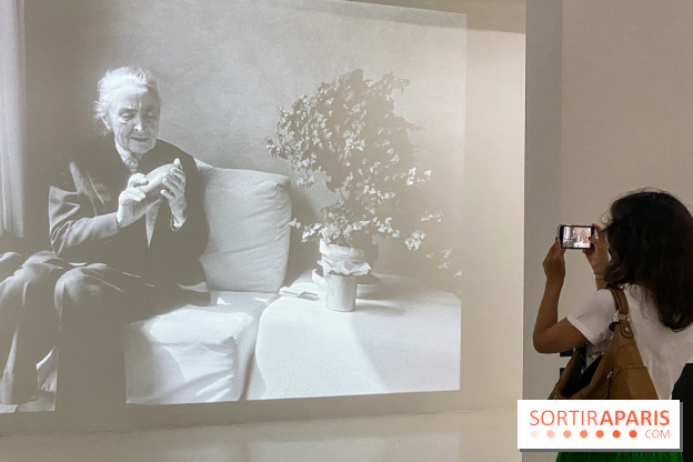 Georgia O'keeffe au Centre Pompidou