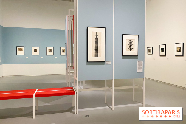 Les chefs-œuvre du MOMA au Jeu de Paume