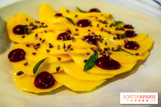 Tzantza à Paris, nos photos