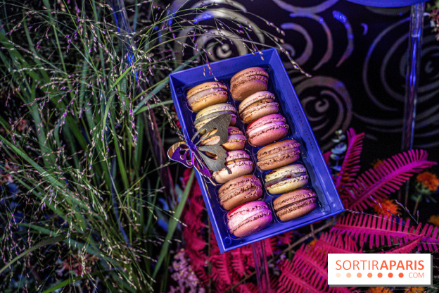 Bûches de Noël de Pierre Hermé 2021 et galettes 2022