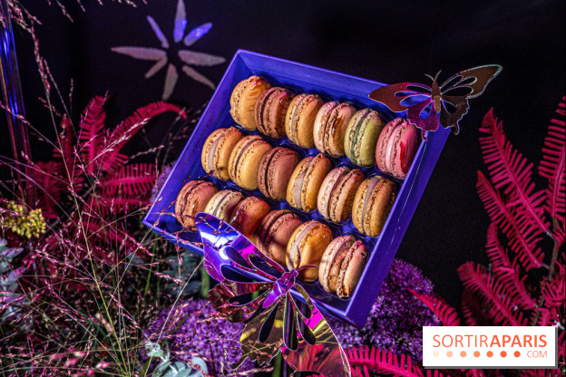 Bûches de Noël de Pierre Hermé 2021 et galettes 2022