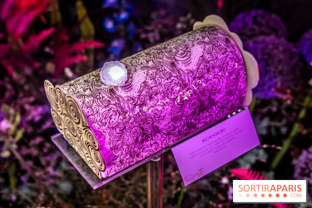 Bûches de Noël de Pierre Hermé 2021 et galettes 2022