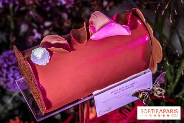 Bûches de Noël de Pierre Hermé 2021 et galettes 2022