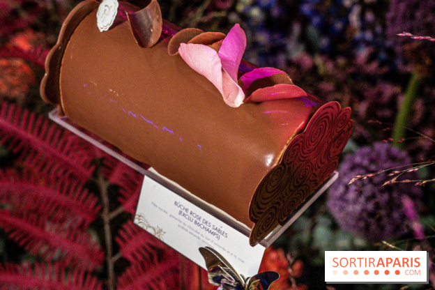 Bûches de Noël de Pierre Hermé 2021 et galettes 2022