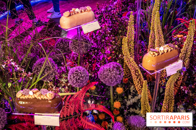 Bûches de Noël de Pierre Hermé 2021 et galettes 2022