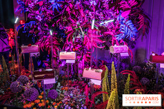 Bûches de Noël de Pierre Hermé 2021 et galettes 2022