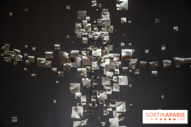 Exposition Aux frontières de l'humain au Musée de l'Homme