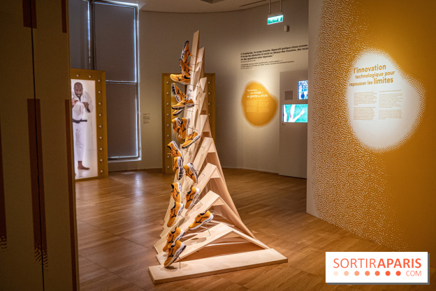 Exposition Aux frontières de l'humain au Musée de l'Homme