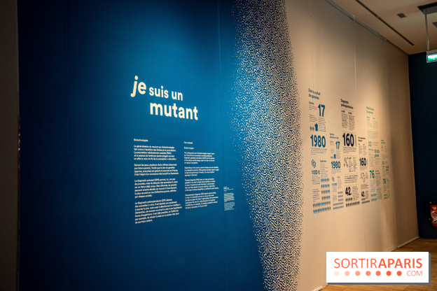 Exposition Aux frontières de l'humain au Musée de l'Homme