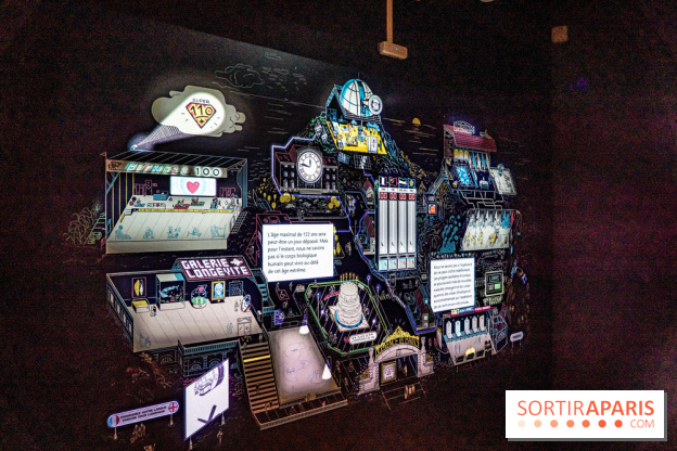 Exposition Aux frontières de l'humain au Musée de l'Homme