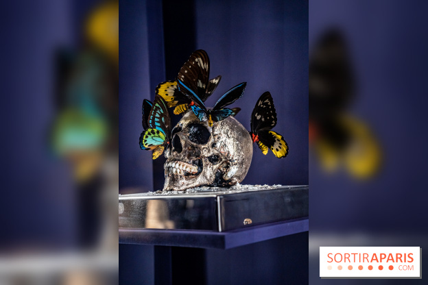 Exposition Aux frontières de l'humain au Musée de l'Homme