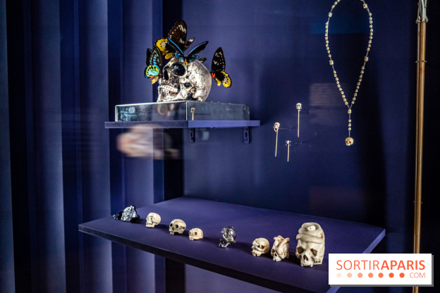 Exposition Aux frontières de l'humain au Musée de l'Homme