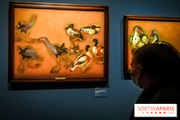 Les animaux du Roi, une exposition qui a du chien au Château de Versailles - nos photos